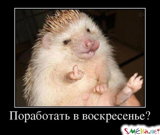 Поработать в воскресенье?