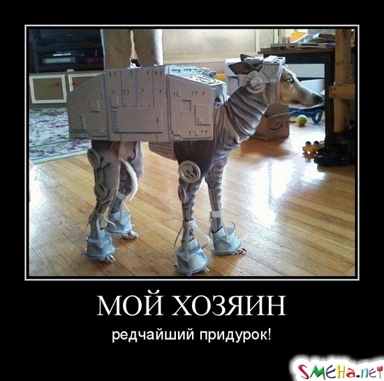 МОЙ ХОЗЯИН - редчайший придурок!