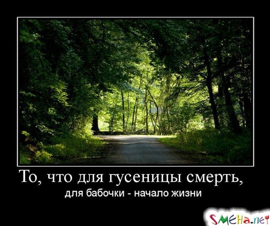 То, что для гусеницы смерть, - для бабочки - начало жизни