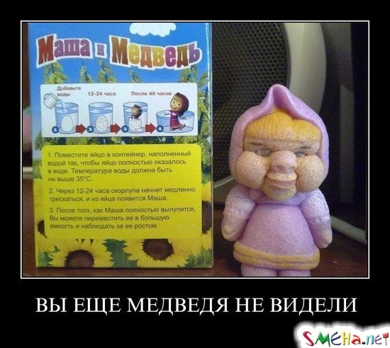 ВЫ ЕЩЕ МЕДВЕДЯ НЕ ВИДЕЛИ