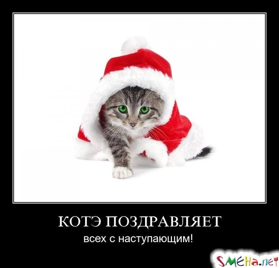 КОТЭ ПОЗДРАВЛЯЕТ - всех с наступающим!