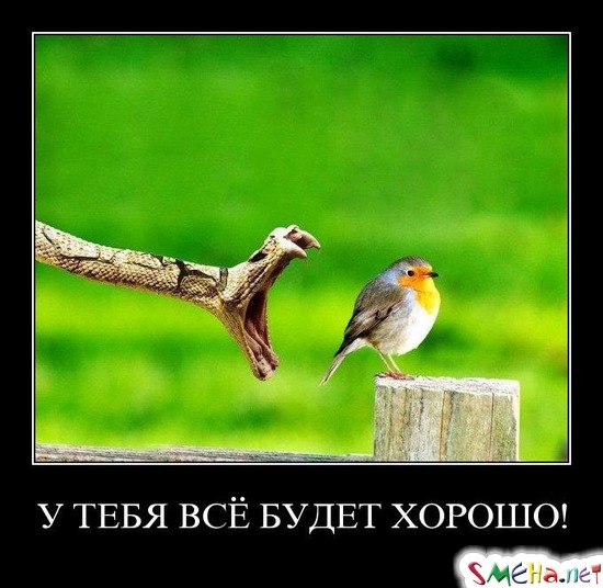У ТЕБЯ ВСЁ БУДЕТ ХОРОШО!