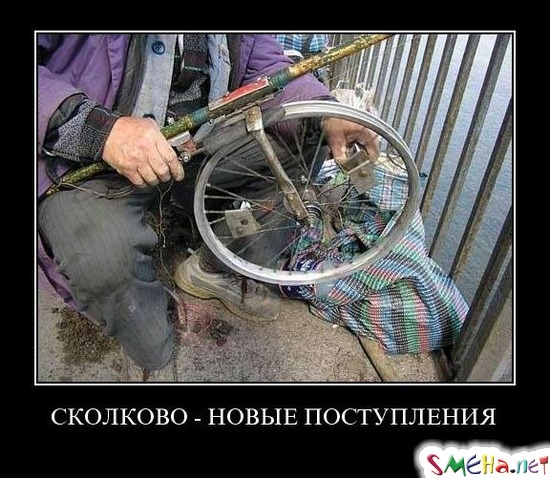 СКОЛКОВО - НОВЫЕ ПОСТУПЛЕНИЯ
