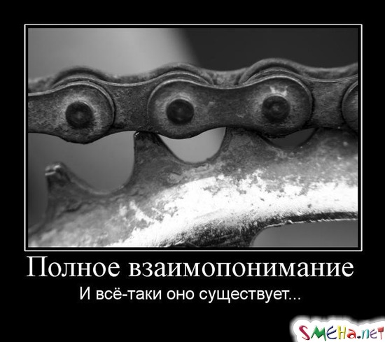 Полное взаимопонимание - И все-таки оно существует...