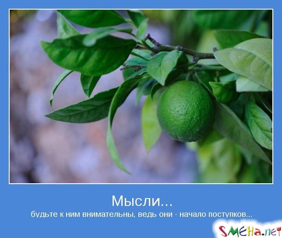 Мысли... - будьте к ним внимательны, ведь они - начало поступков...