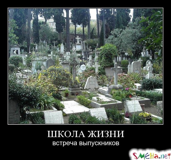 ШКОЛА ЖИЗНИ - встреча выпускников
