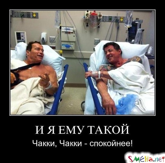 И Я ЕМУ ТАКОЙ - Чакки, Чакки - спокойнее!