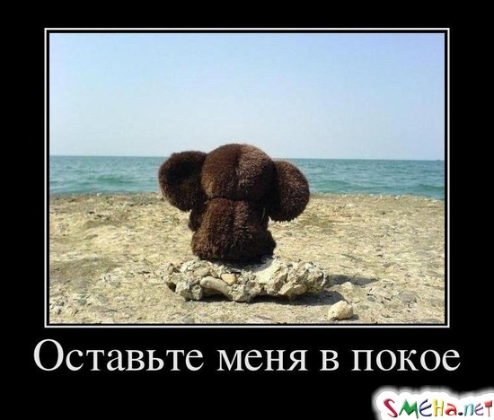 Оставьте меня в покое