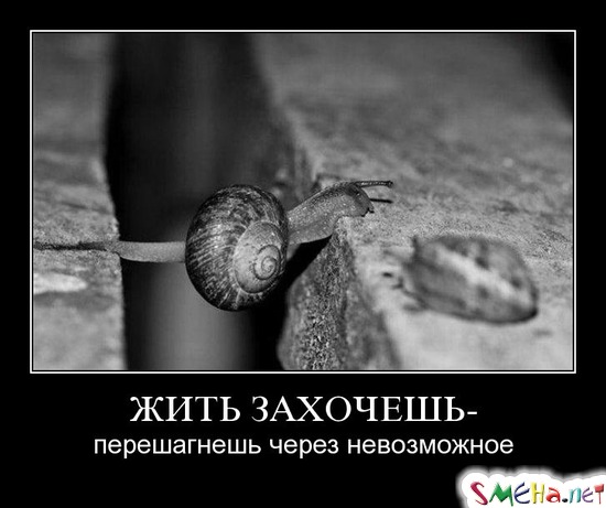 ЖИТЬ ЗАХОЧЕШЬ - перешагнешь через невозможное