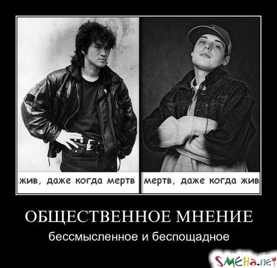 ОБЩЕСТВЕННОЕ МНЕНИЕ - бессмысленное и беспощадное