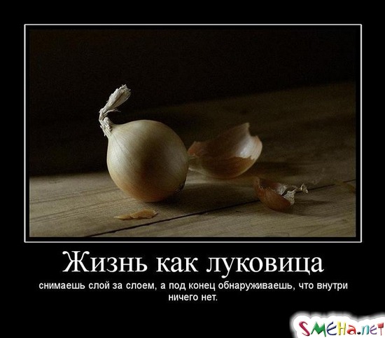 Жизнь как луковица - снимаешь слой за слоем, а под конец обнаруживаешь, что внутри ничего нет.