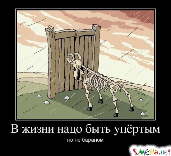В жизни надо быть упёртым - но не бараном
