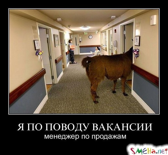 Я ПО ПОВОДУ ВАКАНСИИ - менеджер по продажам