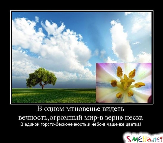 В одном мгновенье видеть вечность, огромный мир - в зерне песка В единой горсти-бесконечность, и небо-в чашечке цветка!