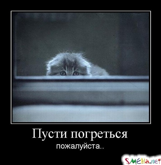 Пусти погреться пожалуйста...