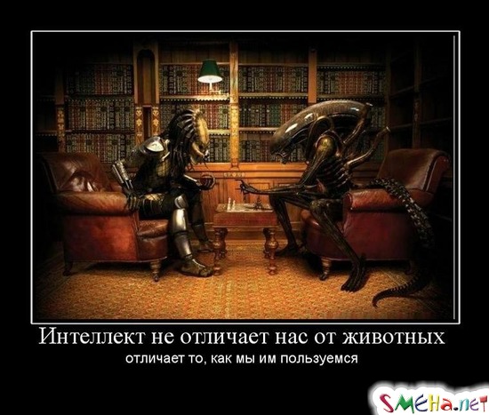 Интелект не отличает нас от животных - отличает то, как мы им пользуемся