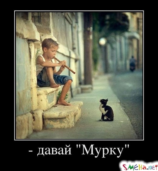 - давай Мурку