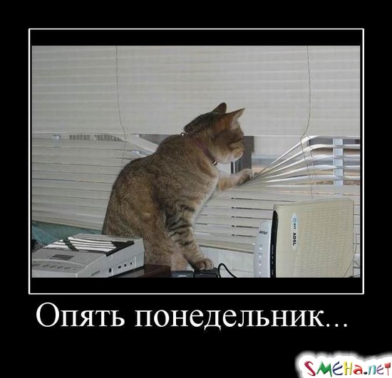 Опять понедельник...