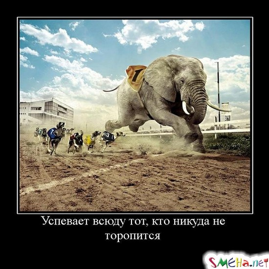 Успевает всюду тот, кто никуда не торопится
