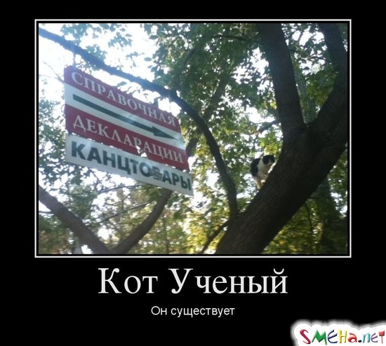 Кот Ученый - Он существует