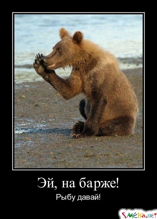 Эй, на барже! - Рыбу давай!