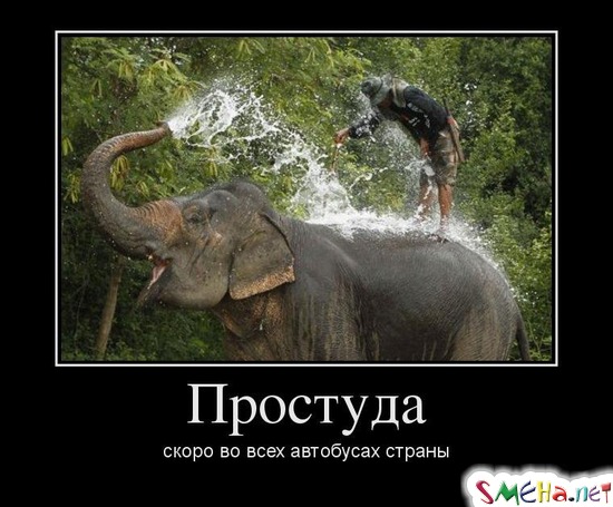 Простуда - скоро во всех автобусах страны