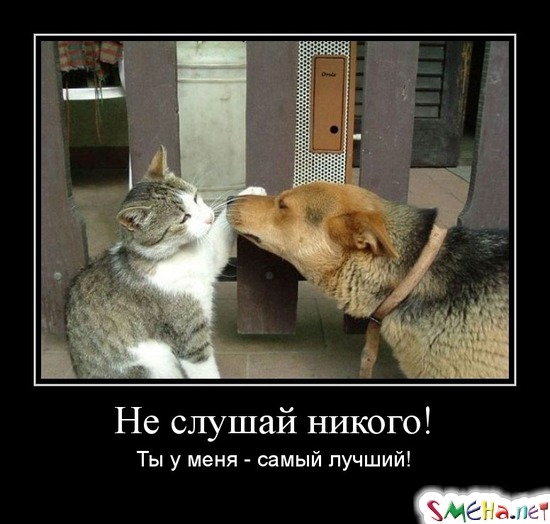 НЕ СЛУШАЙ НИКОГО! ТЫ У МЕНЯ - САМЫЙ ЛУЧШИЙ!