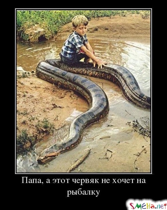 Папа, а этот червяк не хочет на рыбалку