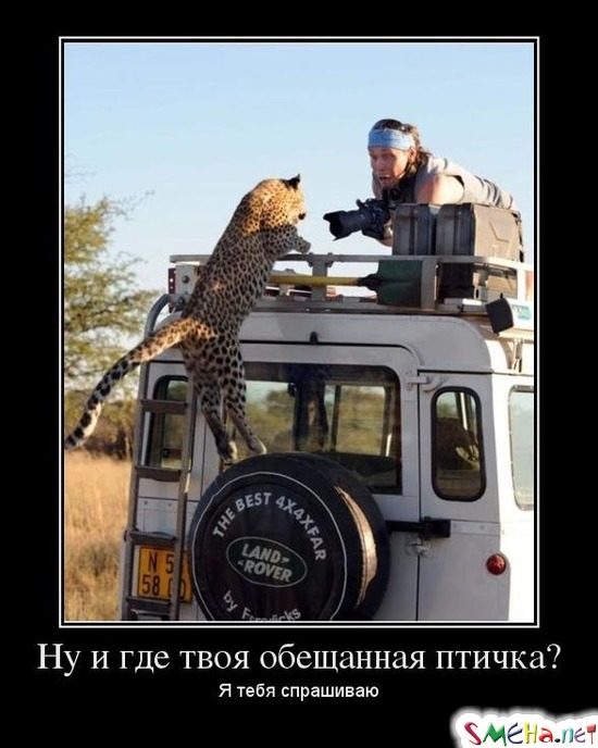 Ну и где твоя обещанная птичка? - Я тебя спрашиваю