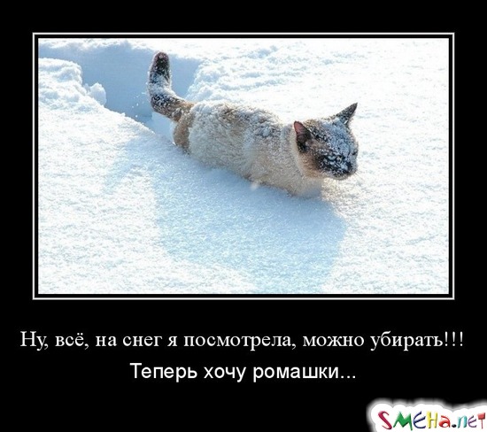 Ну, все, на снег я посмотрела, можно убирать! - Теперь хочу ромашки