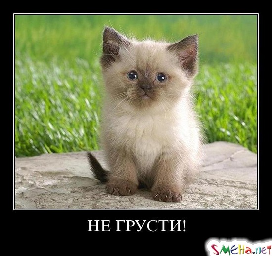 НЕ ГРУСТИ!