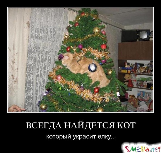 ВСЕГДА НАЙДЕТСЯ КОТ - который украсит елку..