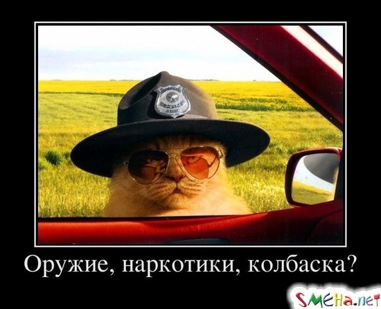 Оружие, наркотики, колбаска?