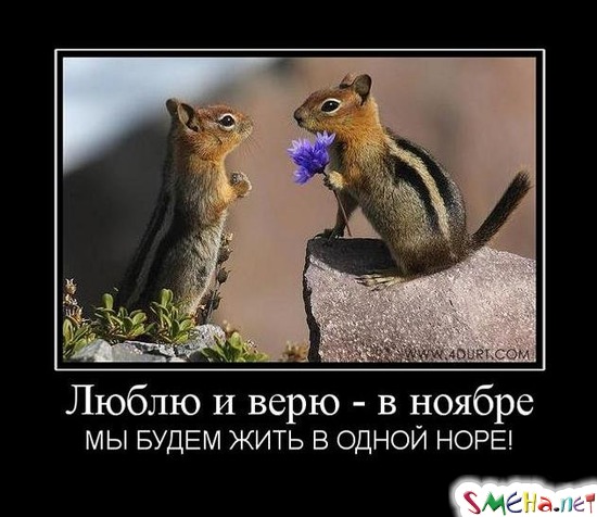 Люблю и верю - в ноябре - МЫ БУДЕМ ЖИТЬ В ОДНОЙ НОРЕ!