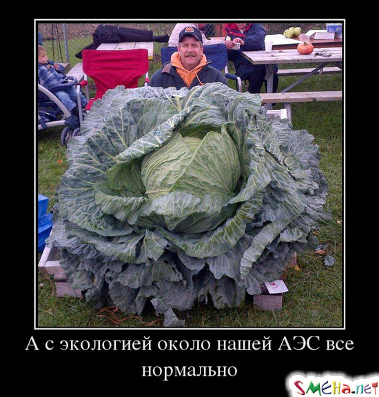 Прикольные демотиваторы