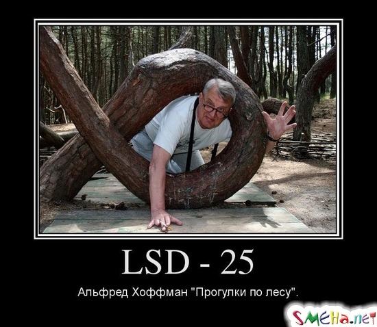 LSD - 25 Альфред Хоффман "Прогулки по лесу"