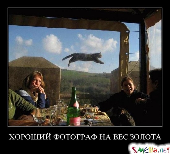 ХОРОШИЙ ФОТОГРАФ НА ВЕС ЗОЛОТА