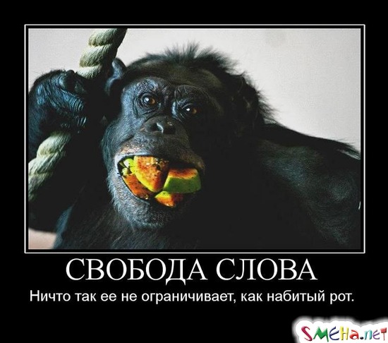 СВОБОДА СЛОВА - Ничто так ее не ограничивает, как набитый рот.