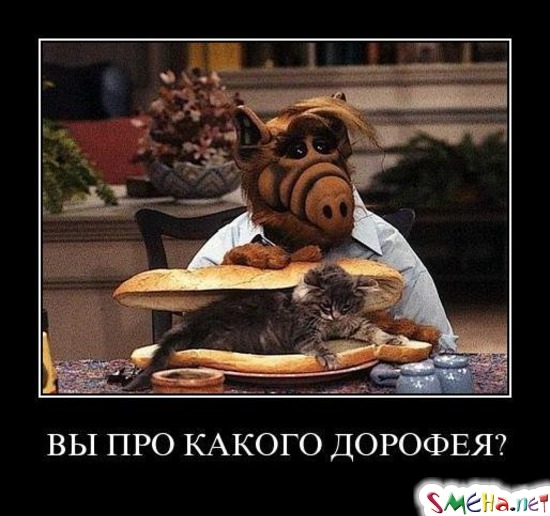 ВЫ ПРО КАКОГО ДОРОФЕЯ?