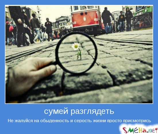 сумей разглядеть - Не жалуйся на обыденность и серость жизни просто присмотрись