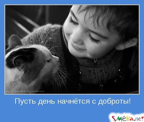 Пусть день начнётся с доброты!