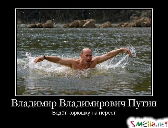 Владимир Владимирович Путин - Ведёт корюшку на нерест