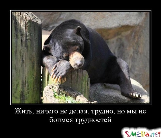 Жить, ничего не делая, трудно, но мы не боимся трудностей