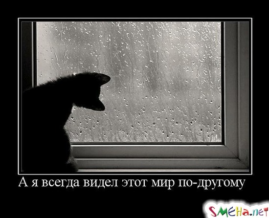 А я всегда видел этот мир по-другому