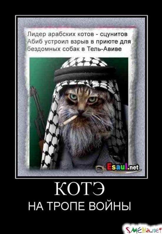 КОТЭ - НА ТРОПЕ ВОЙНЫ