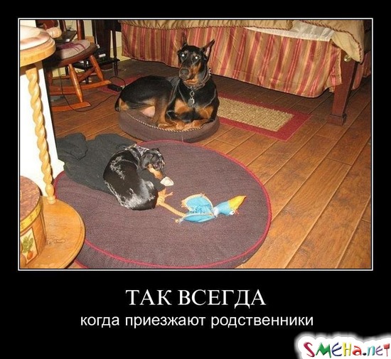 ТАК ВСЕГДА - когда приезжают родственники