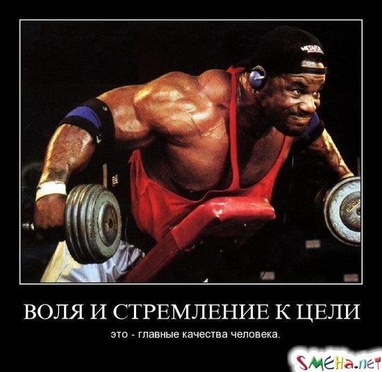 ВОЛЯ И СТРЕМЛЕНИЕ К ЦЕЛИ - это - главные качества человека.