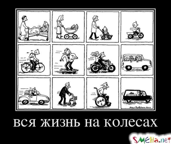 вся жизнь на колесах