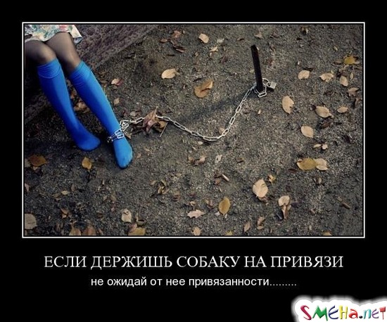 ЕСЛИ ДЕРЖИШЬ СОБАКУ НА ПРИВЯЗИ - не ожидай от нее привязанности.........