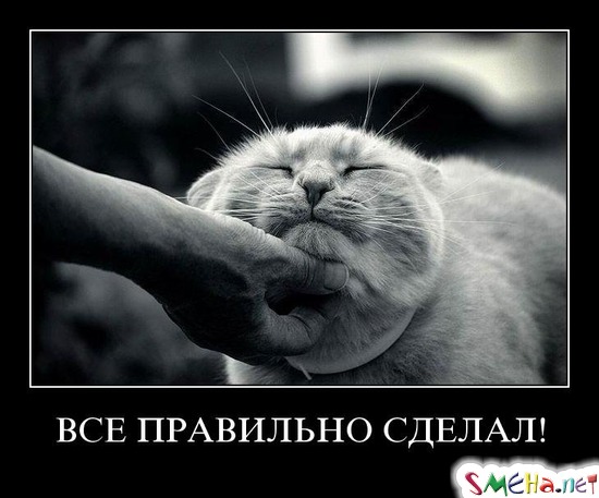 ВСЕ ПРАВИЛЬНО СДЕЛАЛ!